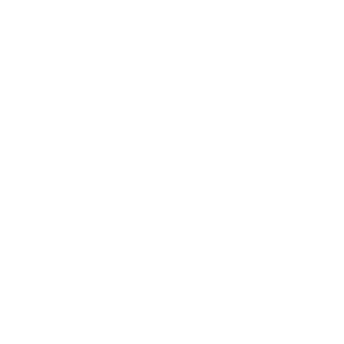 Einstein Center Neuroscience